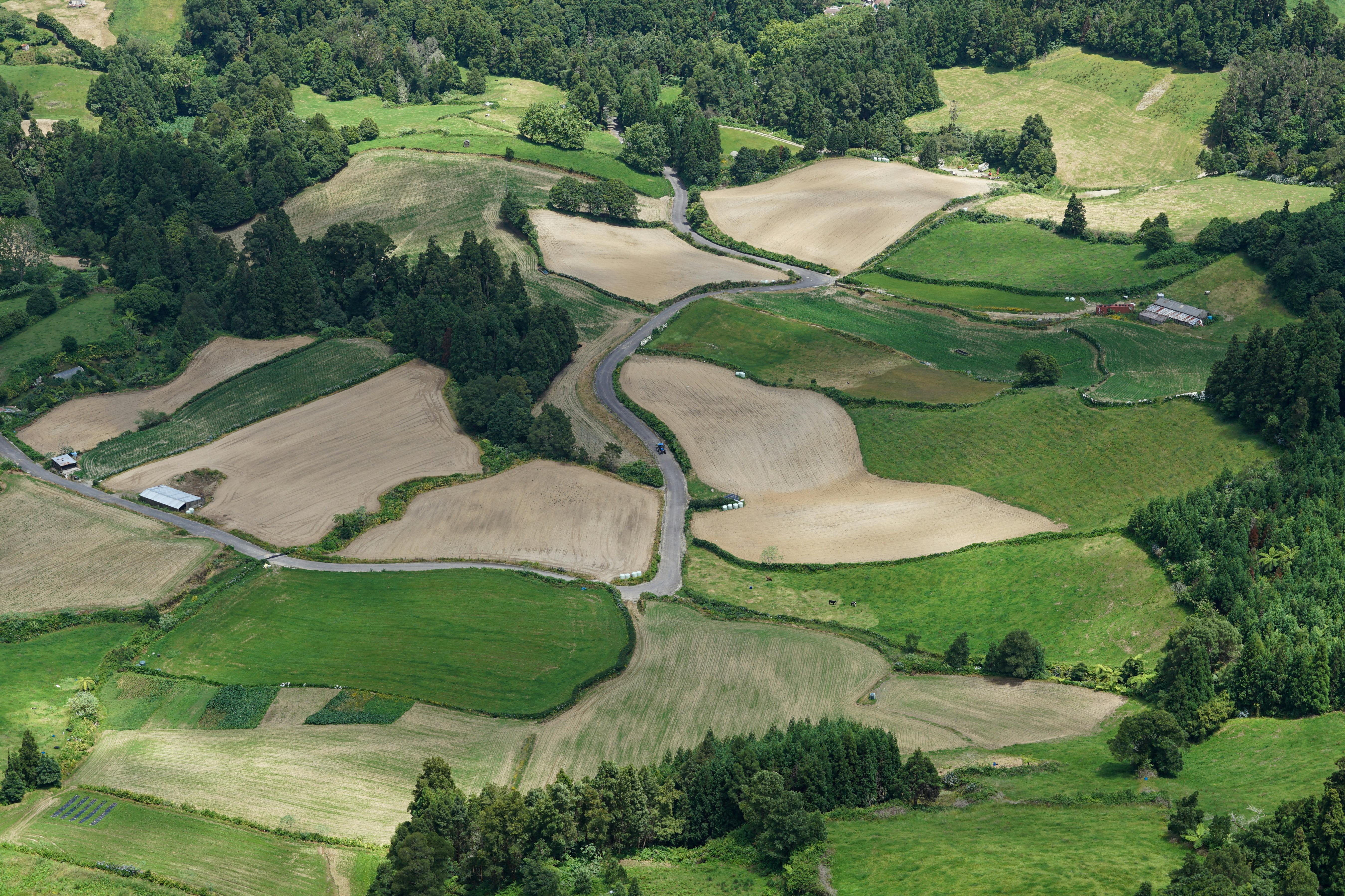 Photo by Alexandre  Moreira on Pexels