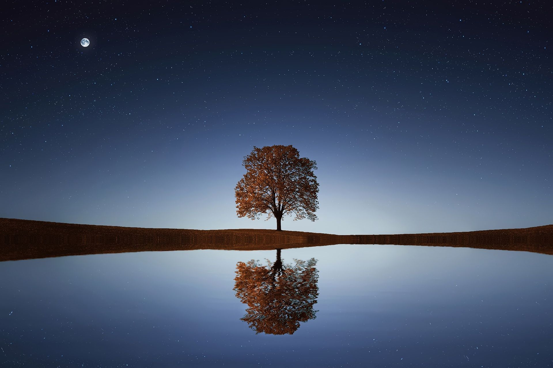 夜明けのような光景