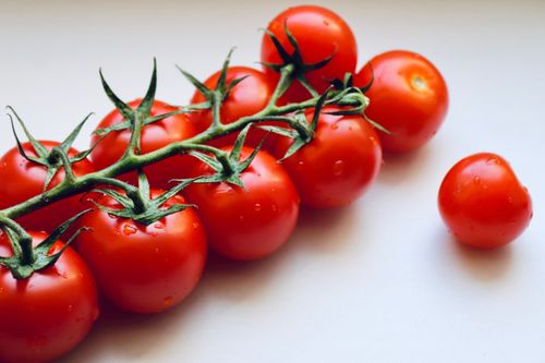 Free A close-up of fresh red cherry tomatoes on a stem against a white background. Stock Photo