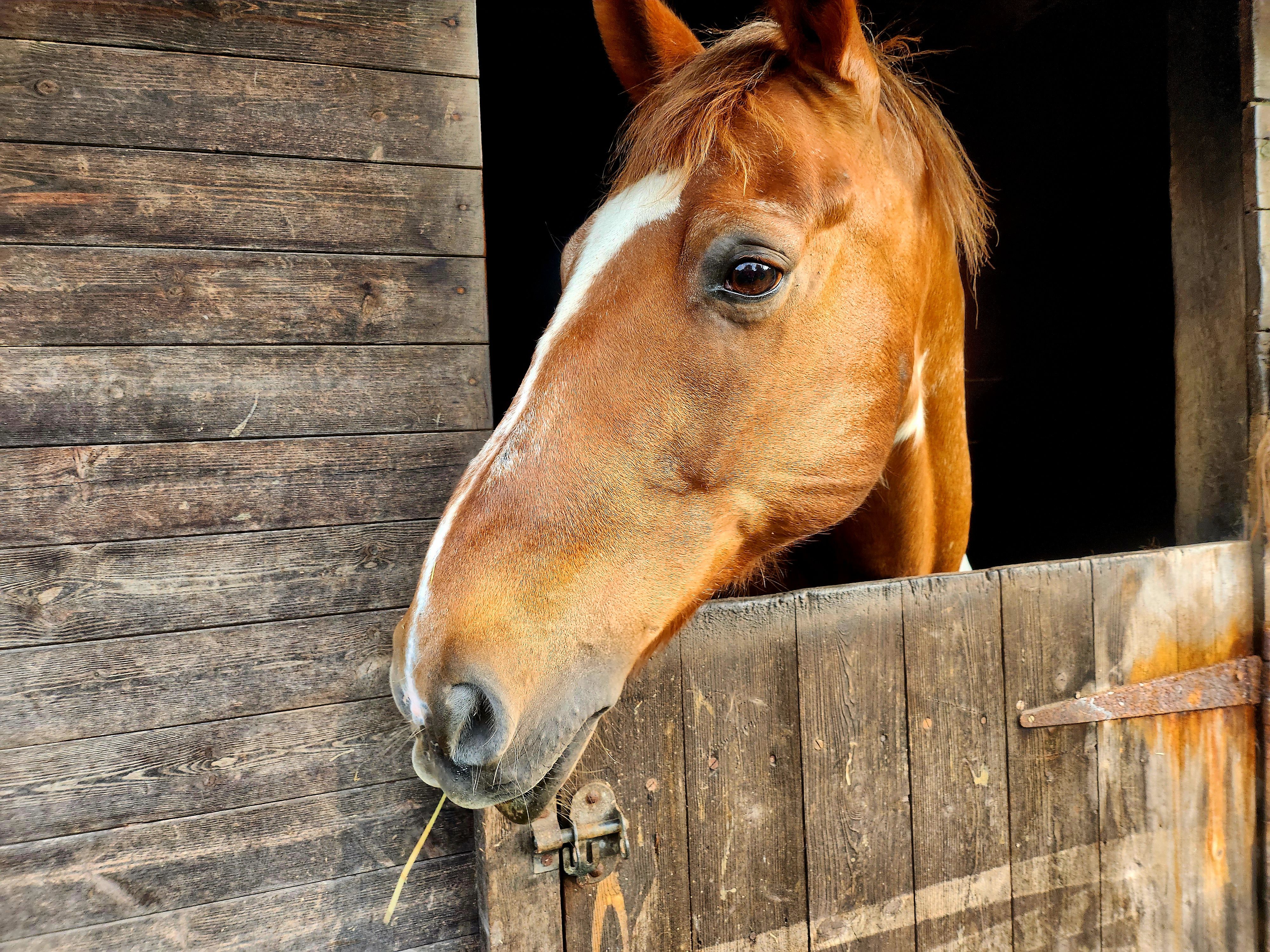 Rust project goal pushes for stable explicit tail calls — but it will take money and time