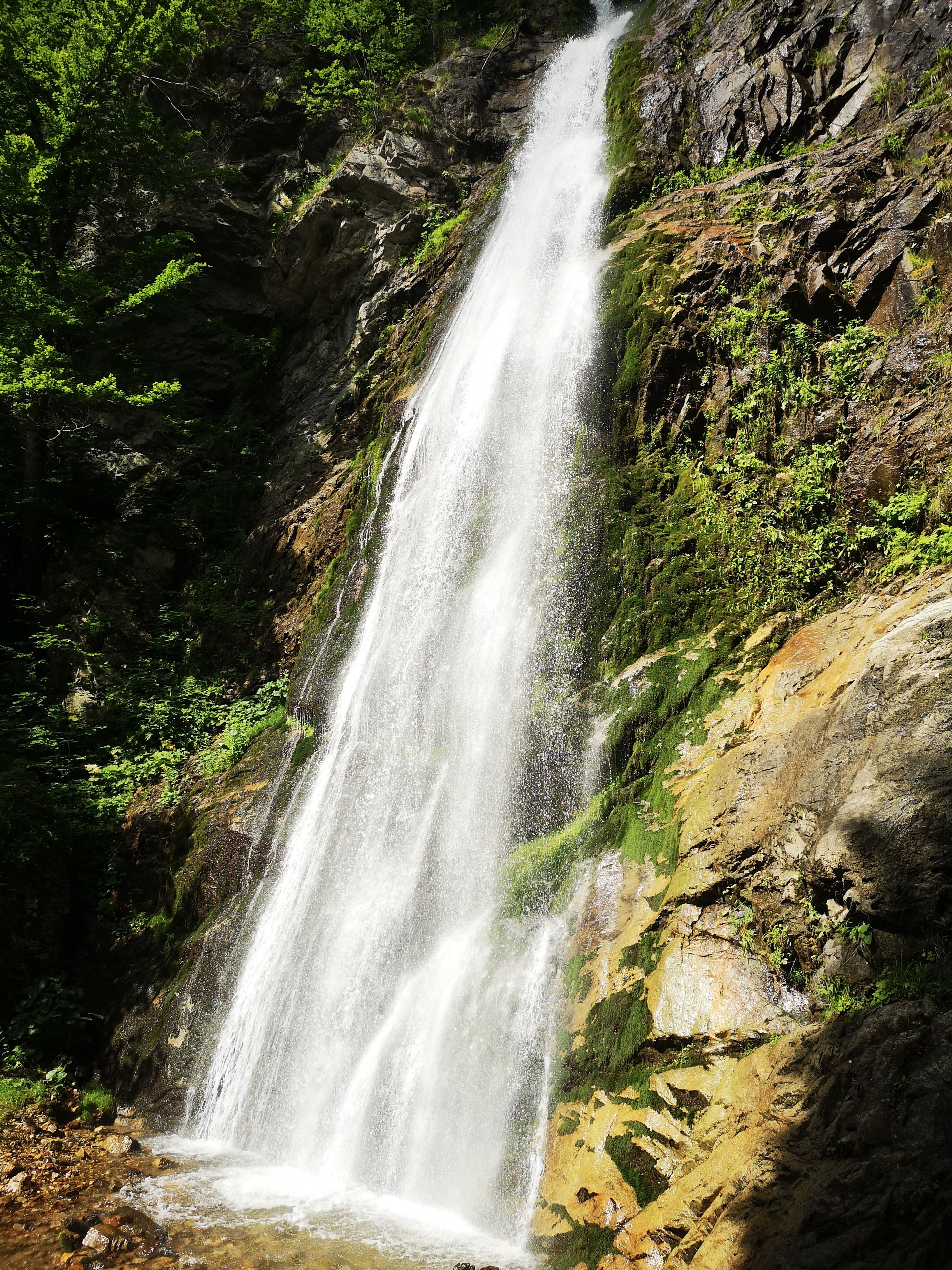 Waterfall on Rocks in Forest · Free Stock Photo