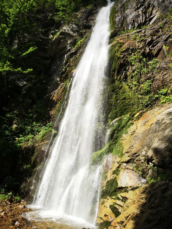 Waterfall on Rocks in Forest · Free Stock Photo