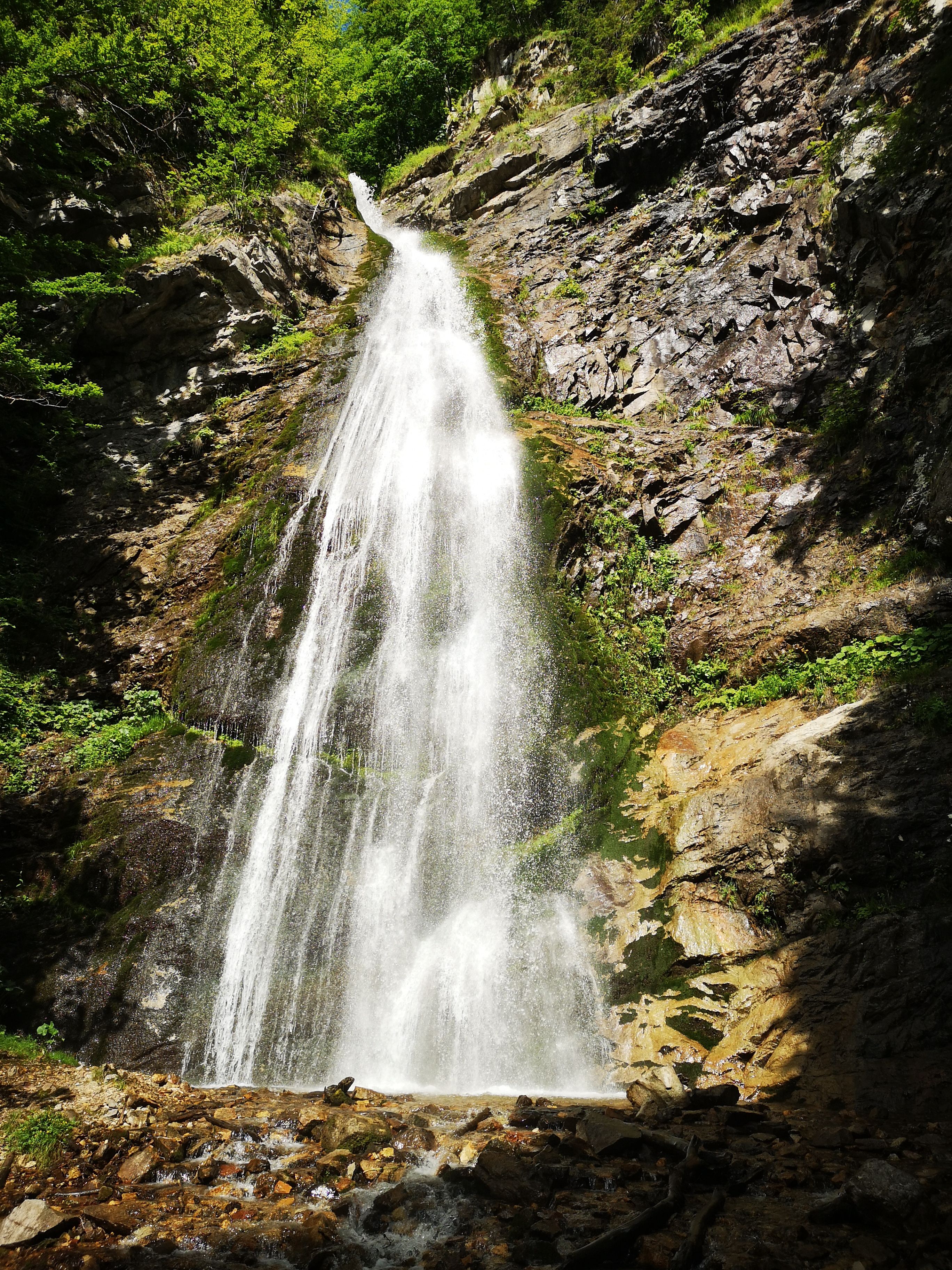 Waterfall on Rocks in Forest · Free Stock Photo