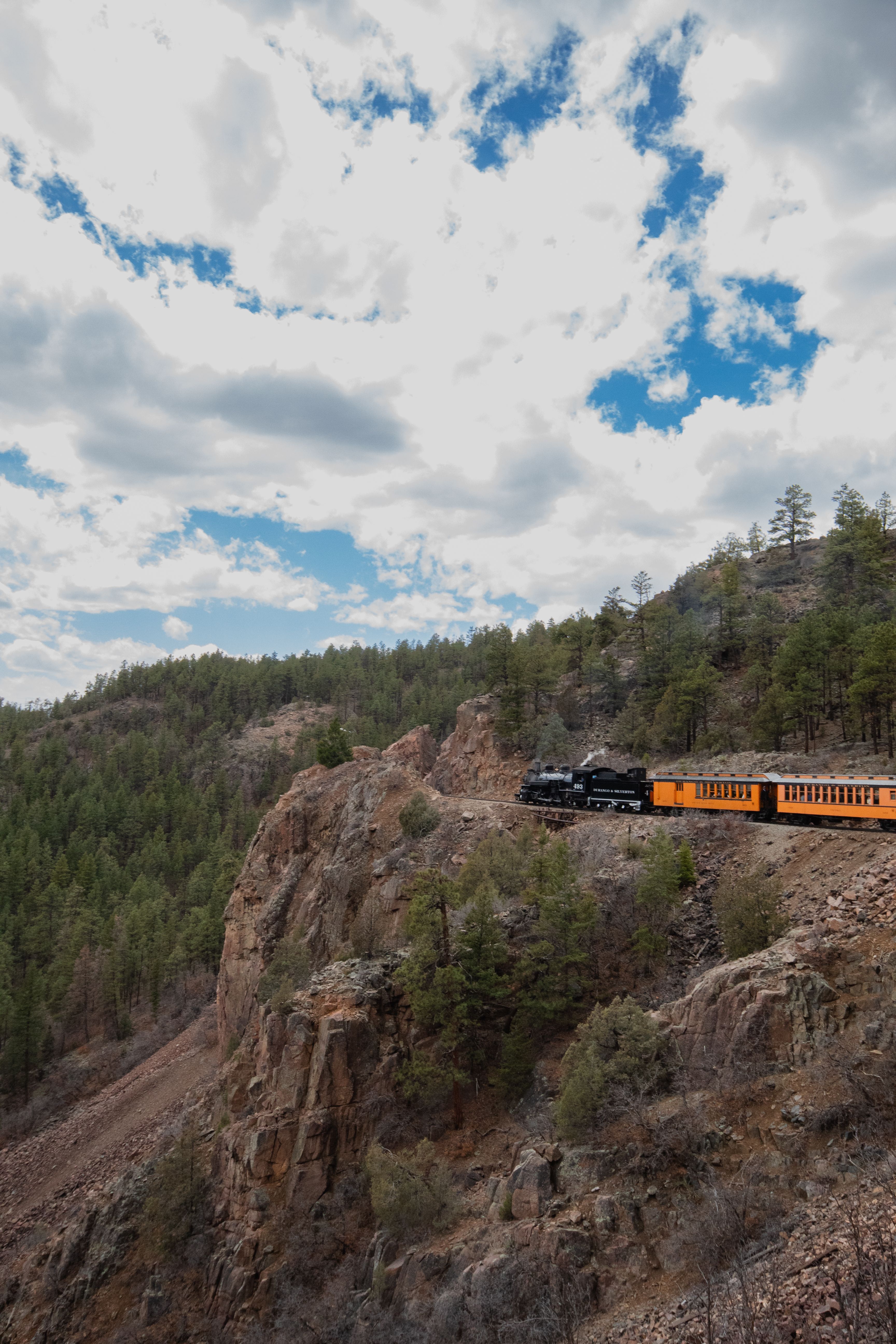 Train on Hills and in Forest · Free Stock Photo