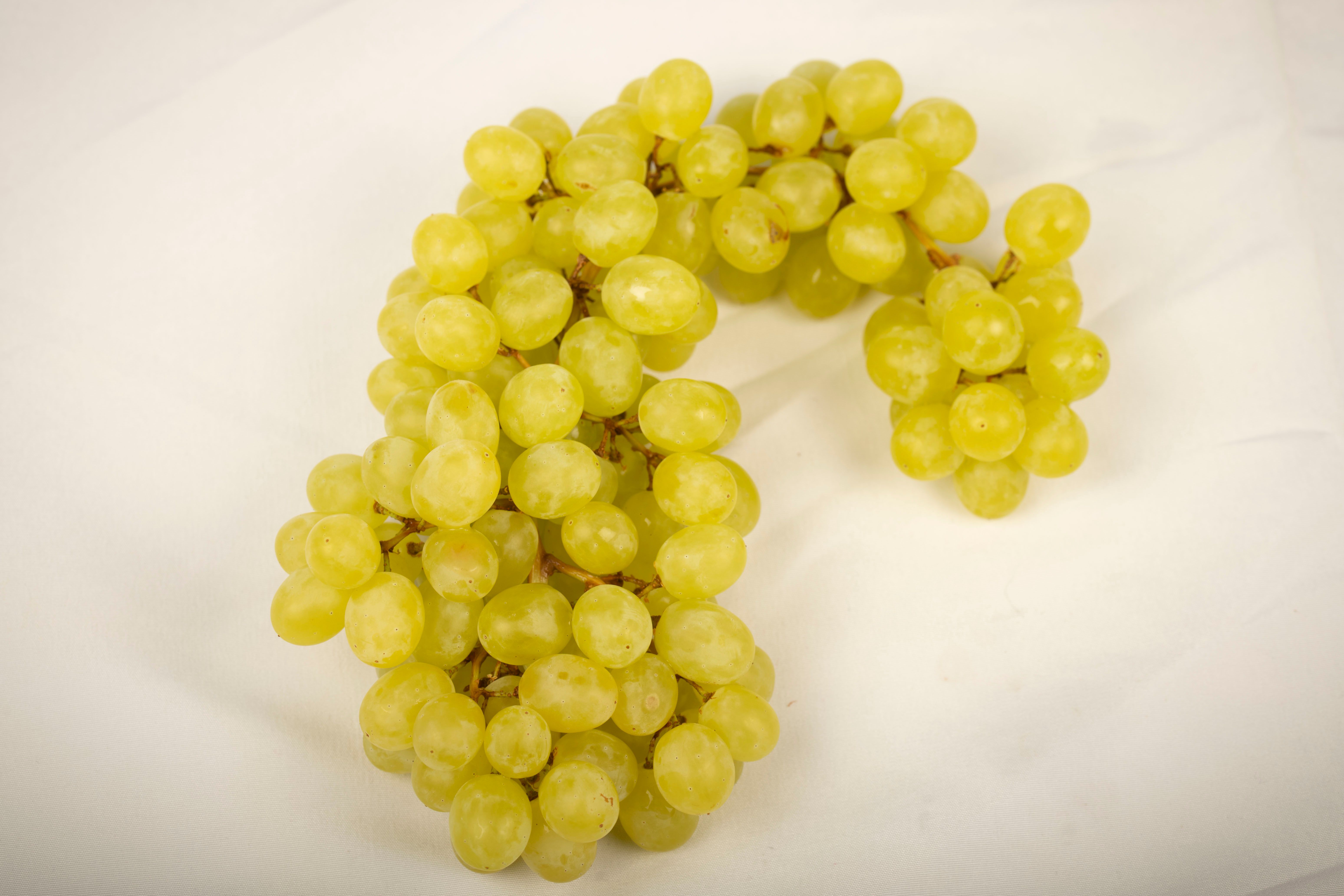 Seedless Blackberries and Cherries That Grow on Bushes Vie to Be the Future of Food