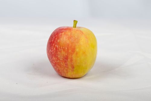 Free Close-up of a fresh red and yellow apple on a smooth white background, ideal for food-related content. Stock Photo