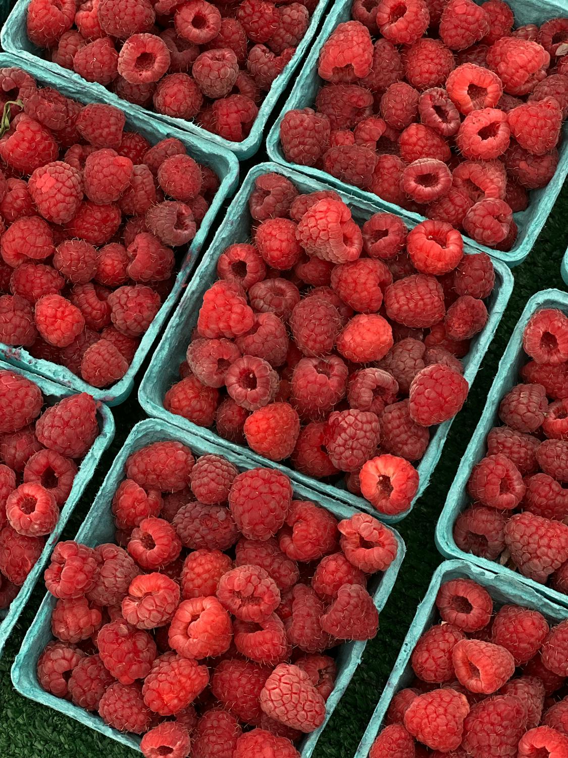 Close-up of Containers with Fresh Raspberries · Free Stock Photo