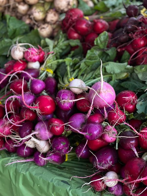 Free Vibrant red and pink radishes with leafy greens at an outdoor market. Stock Photo