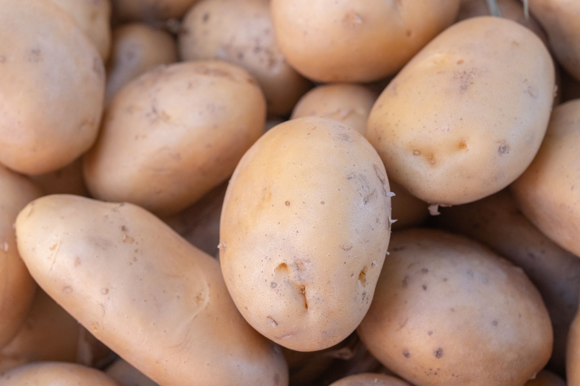 Various potatoes including waxy and starchy types on a wooden table