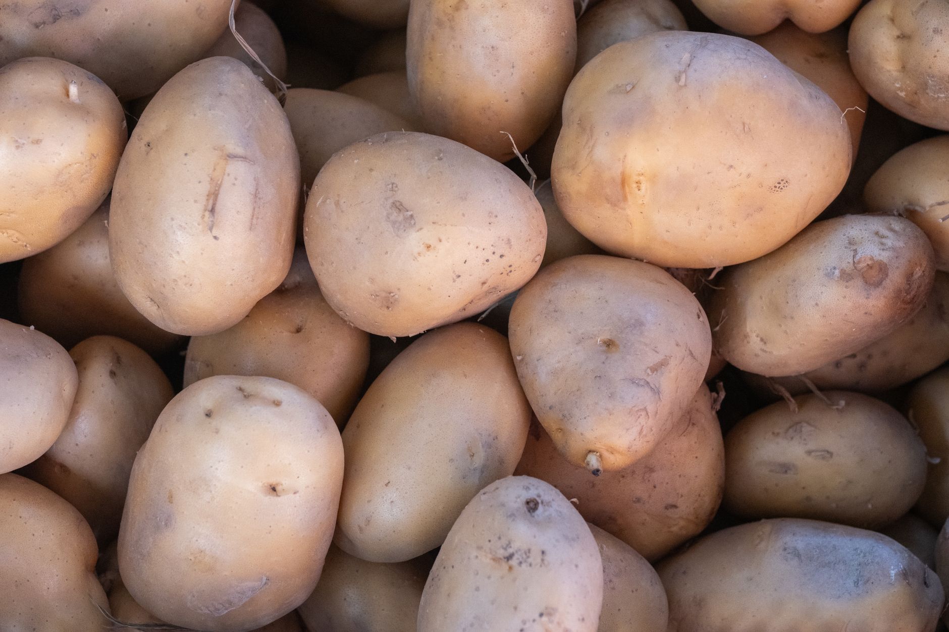 Potatoes stored in a cool, dark basket