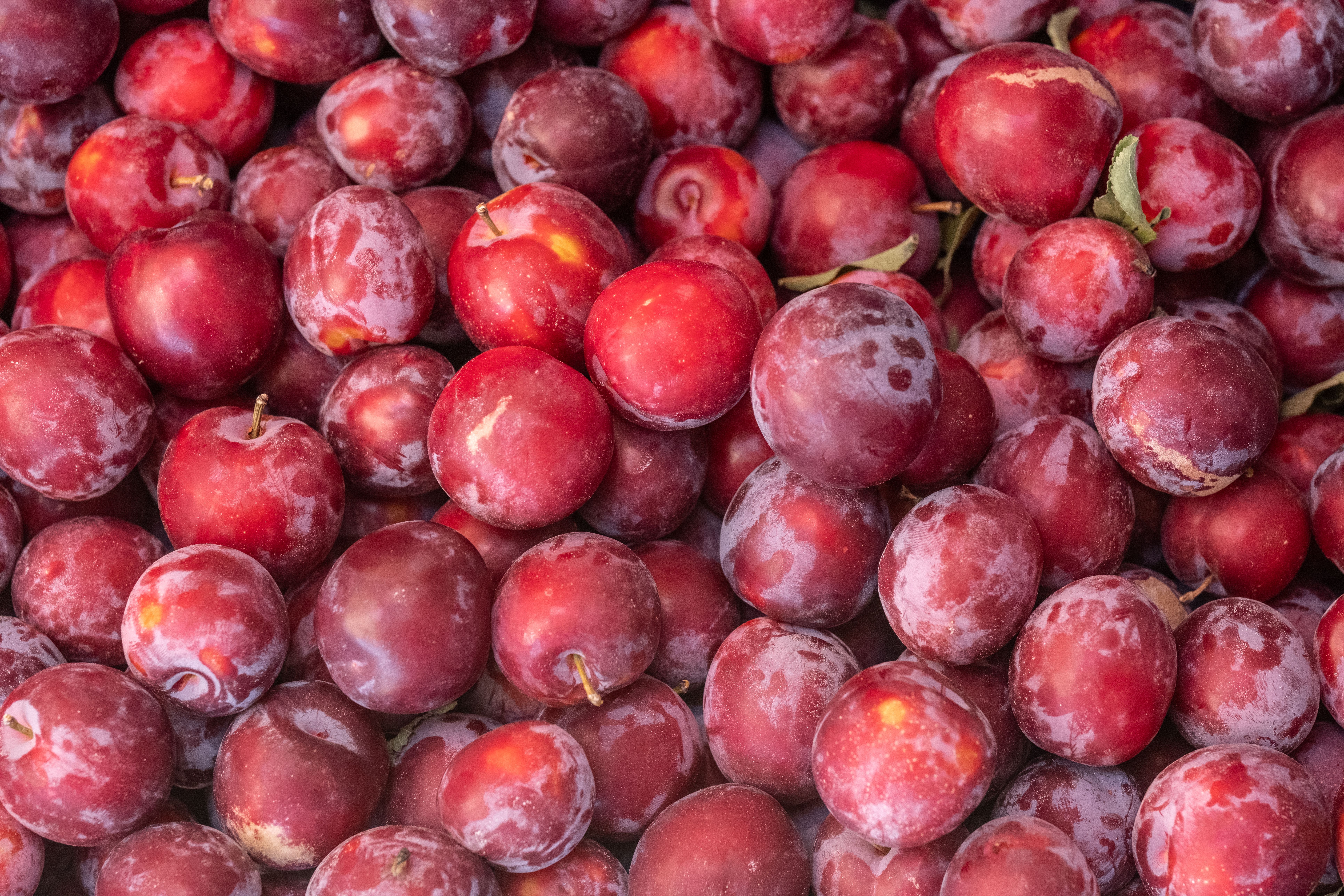 A close-up image of fresh, ripe red plums in Bornova market, İzmir, Türkiye.
