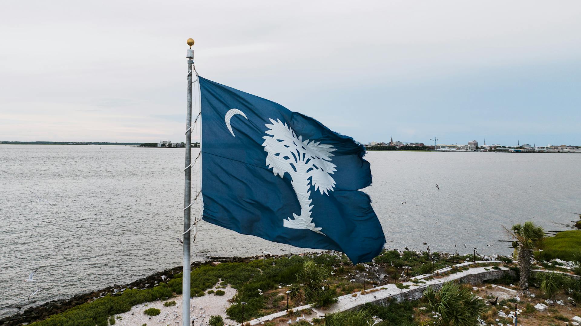 Ripped South Carolina Flog on Island with Ruins