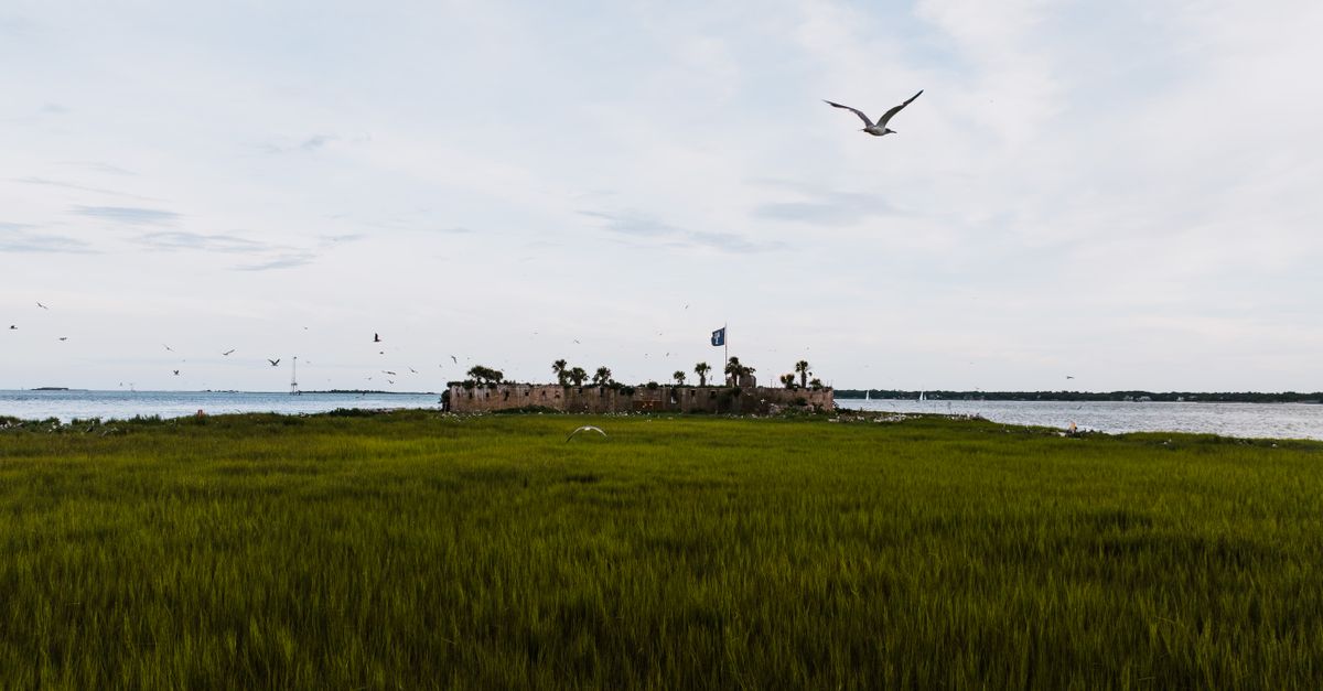 Explore Castle Pinckney in Charleston Harbor with seagulls and lush greenery.