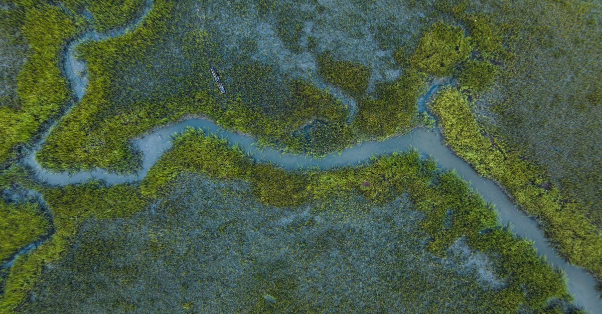 A captivating aerial view of lush wetlands with winding river in Charleston, SC.