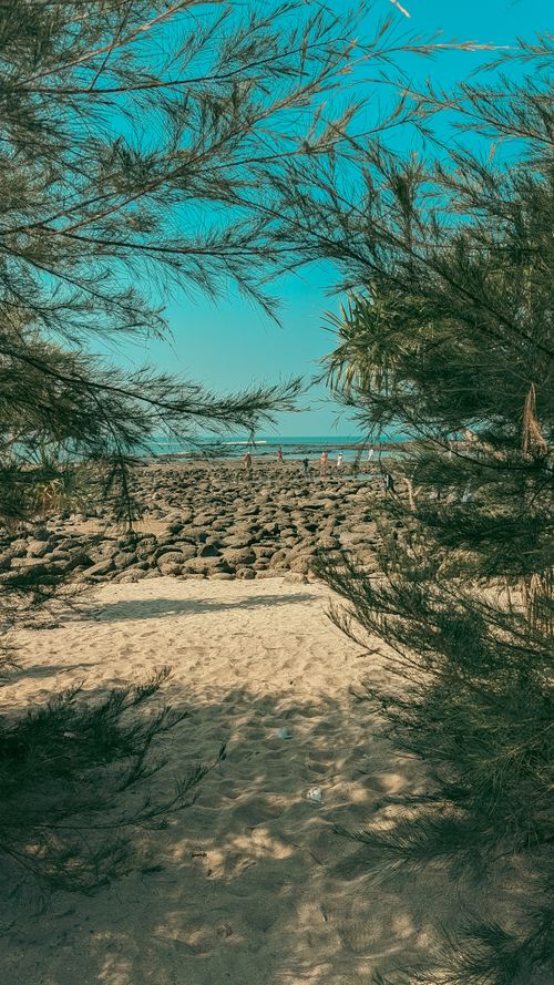 Free A serene sandy pathway leads to a rocky beachfront, framed by lush trees under a clear summer sky. Stock Photo