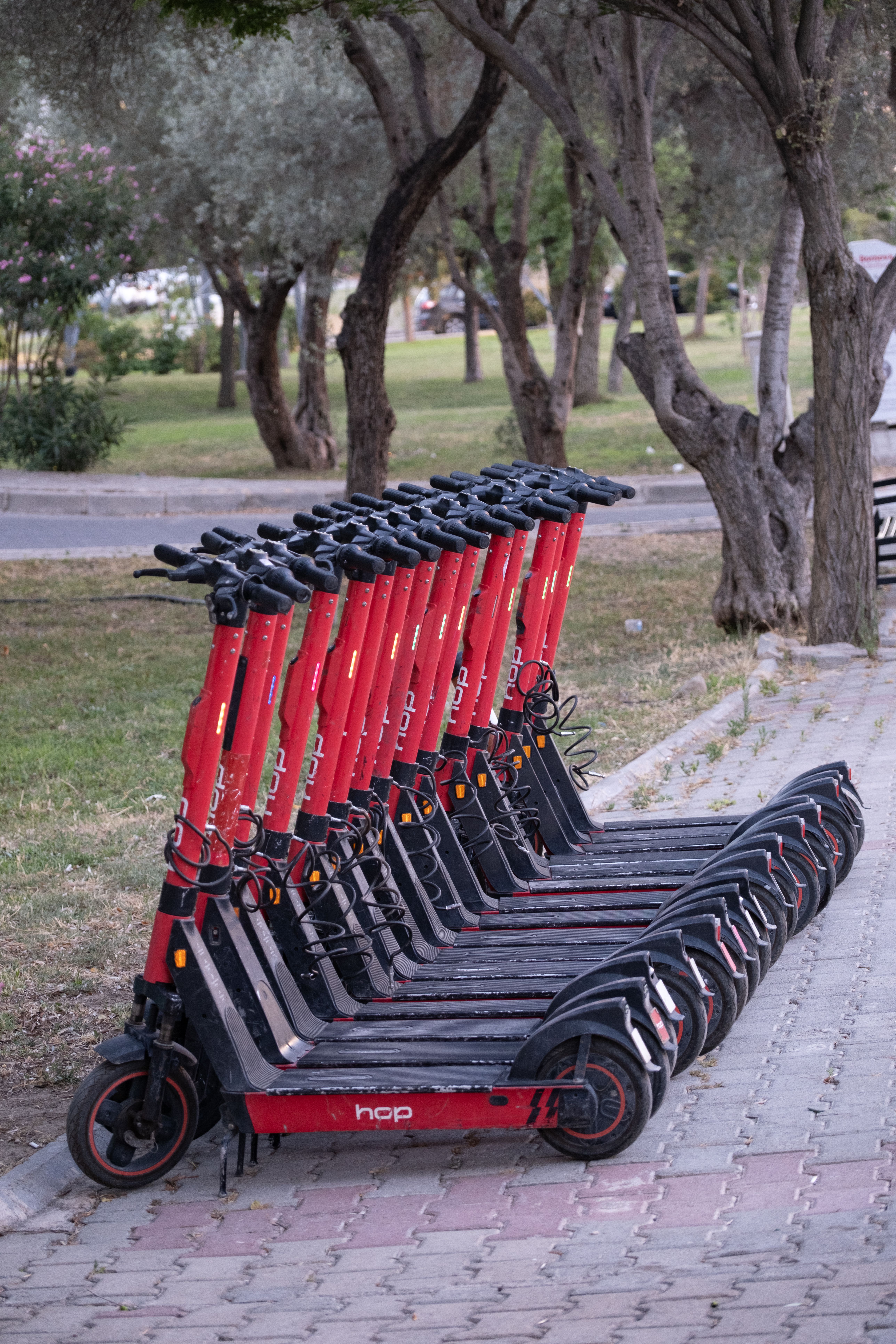 Red Electric Scooters Lined up on the Pavement · Free Stock Photo