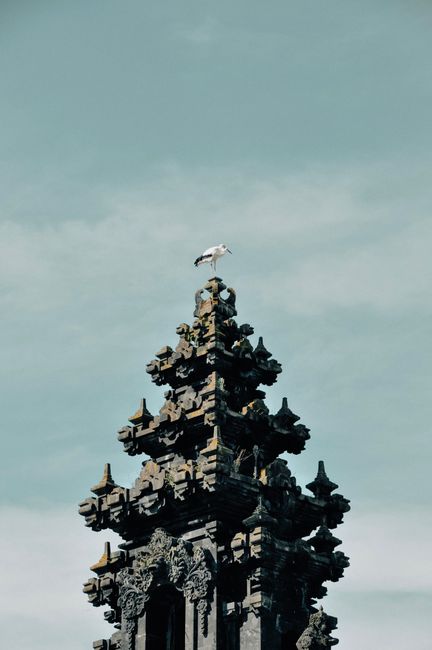 A white stork perches on an ancient, ornate tower under a clear sky in Belgium.