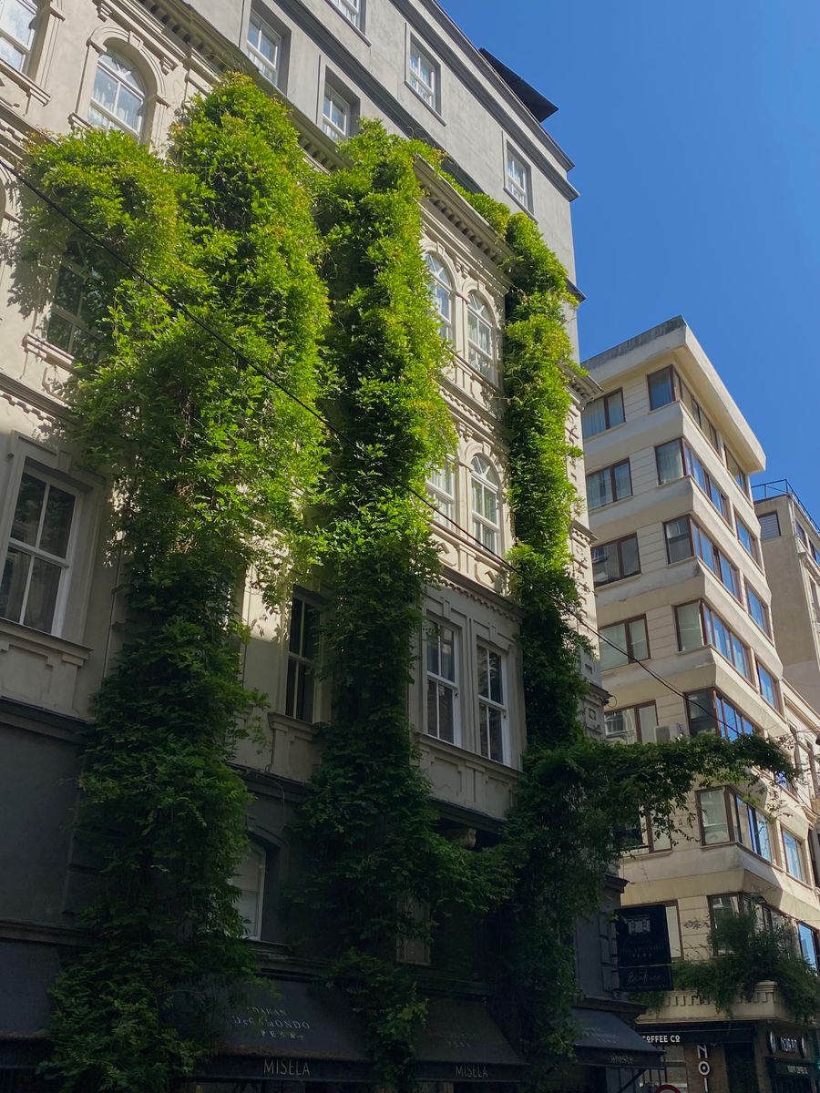 Façade d'immeuble couverte de plantes grimpantes