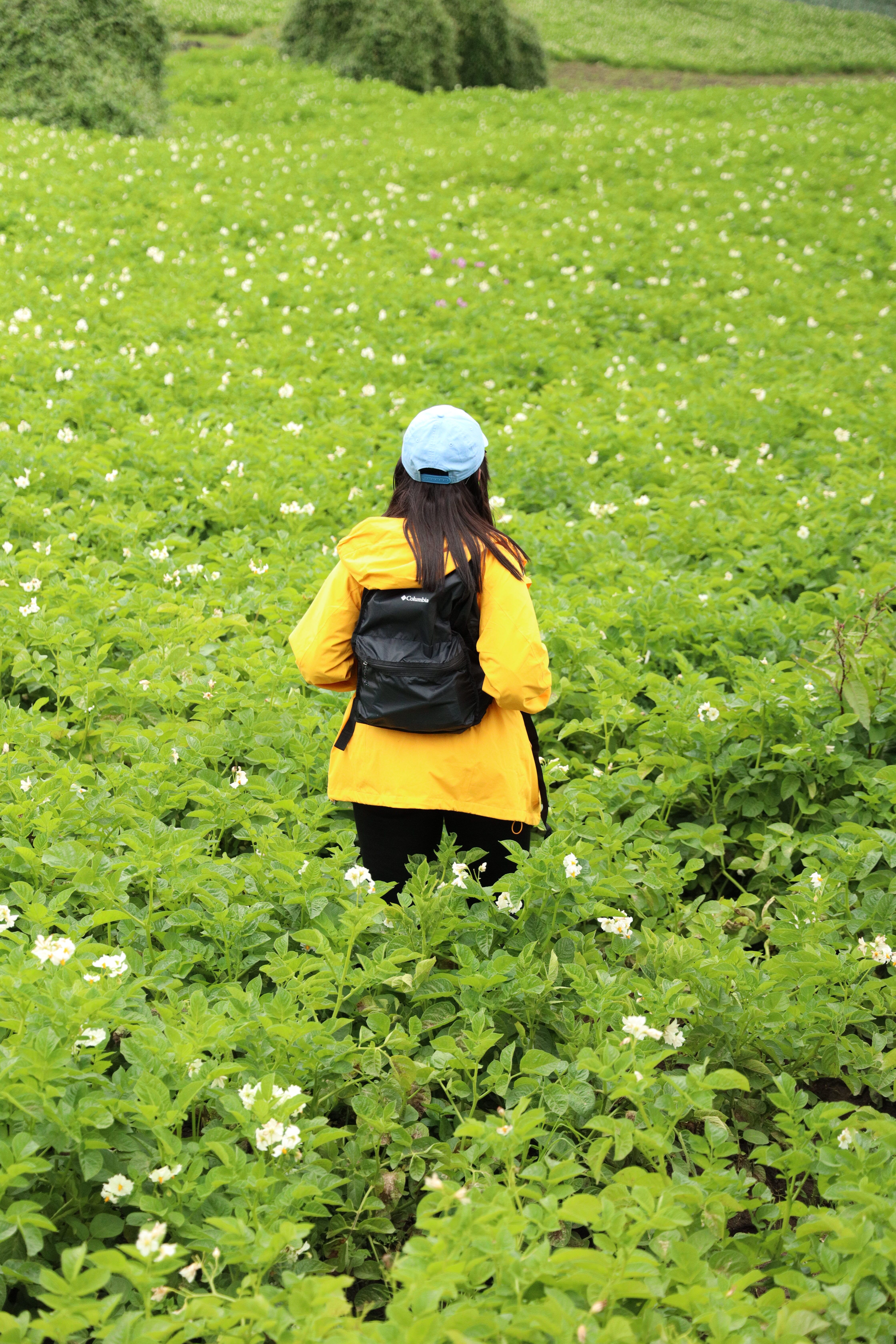 Back View of a Person in an Orange Jacket Standing in a Field · Free ...