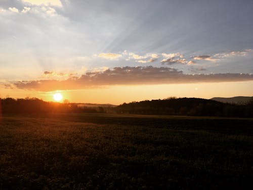 Fotobanka s bezplatnými fotkami na tému krásna krajina, letné ráno, leto