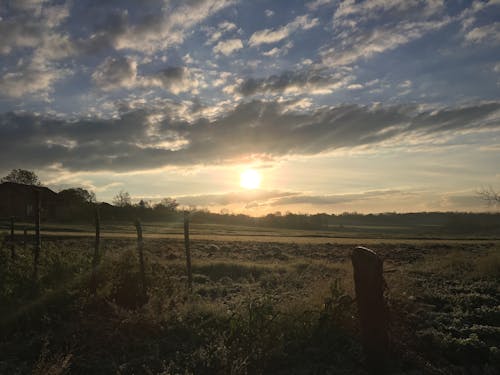 Fotobanka s bezplatnými fotkami na tému letné ráno, leto, oranžová