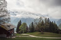 宁静的山景，以质朴的房屋和白雪皑皑的山峰为特色