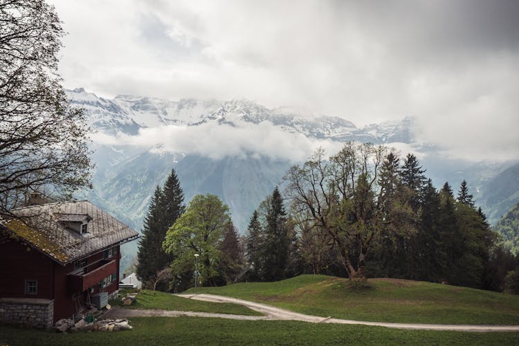 Scenic View Of Snow Capped Mountains