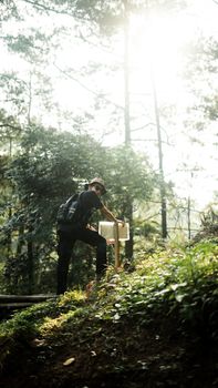 A man wearing a hat hikes uphill on a sunlit forest trail, surrounded by lush green trees. - Fotografer Sidoarjo