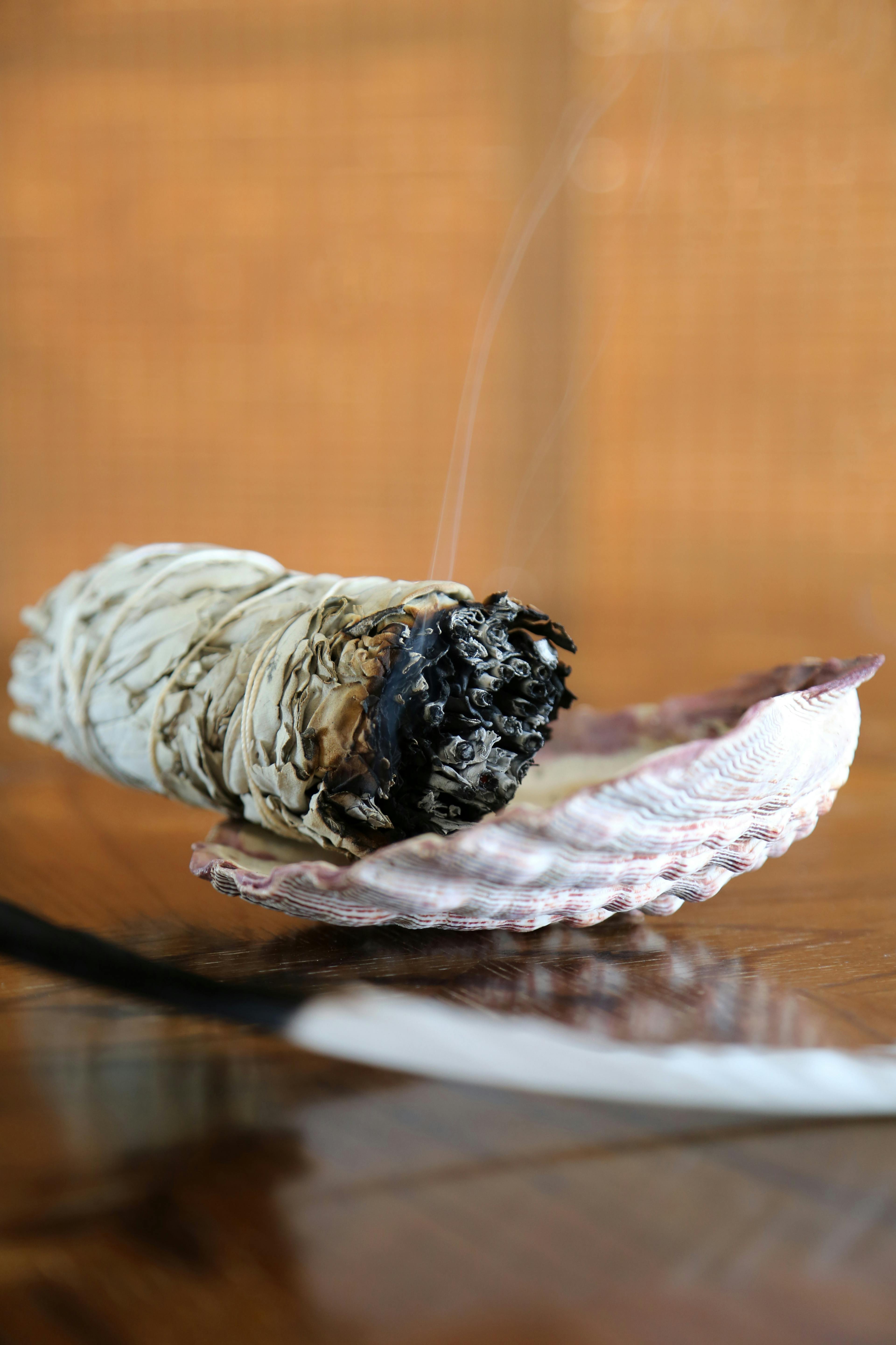 Burning White Sage Smudge Stick on Table Shell Feather Spiritual Energy Cleansing Ritual