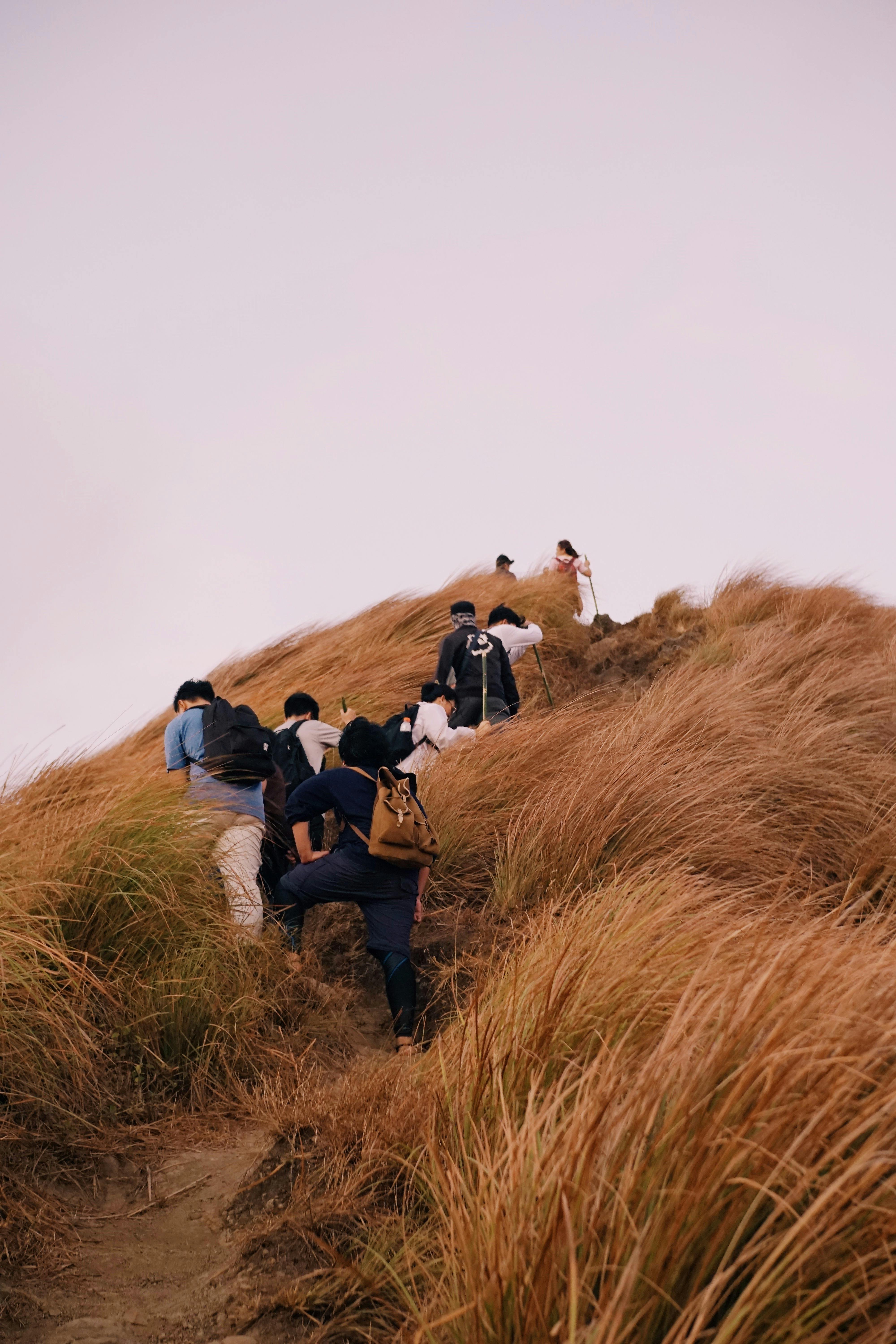 A group of hikers ascend a grassy hill, capturing the essence of adventure and nature.