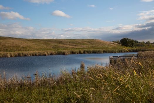 Beautiful Wetland Nature Reserve Pond Lake Water Marsh Swamp Slough
