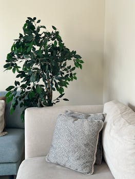 A warmly decorated living room corner with a sofa and indoor plant.