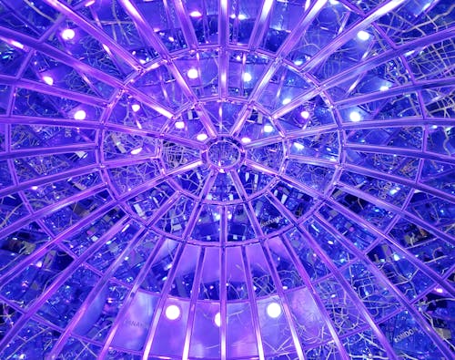 Close-up Photo of Purple Glass