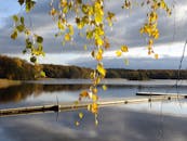 宁静的湖面上悬挂着金黄的秋叶，木制码头倒映出森林的宁静景观