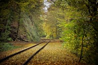 在宁静的森林环境中，风景优美的秋季铁路轨道被充满活力的秋叶包围