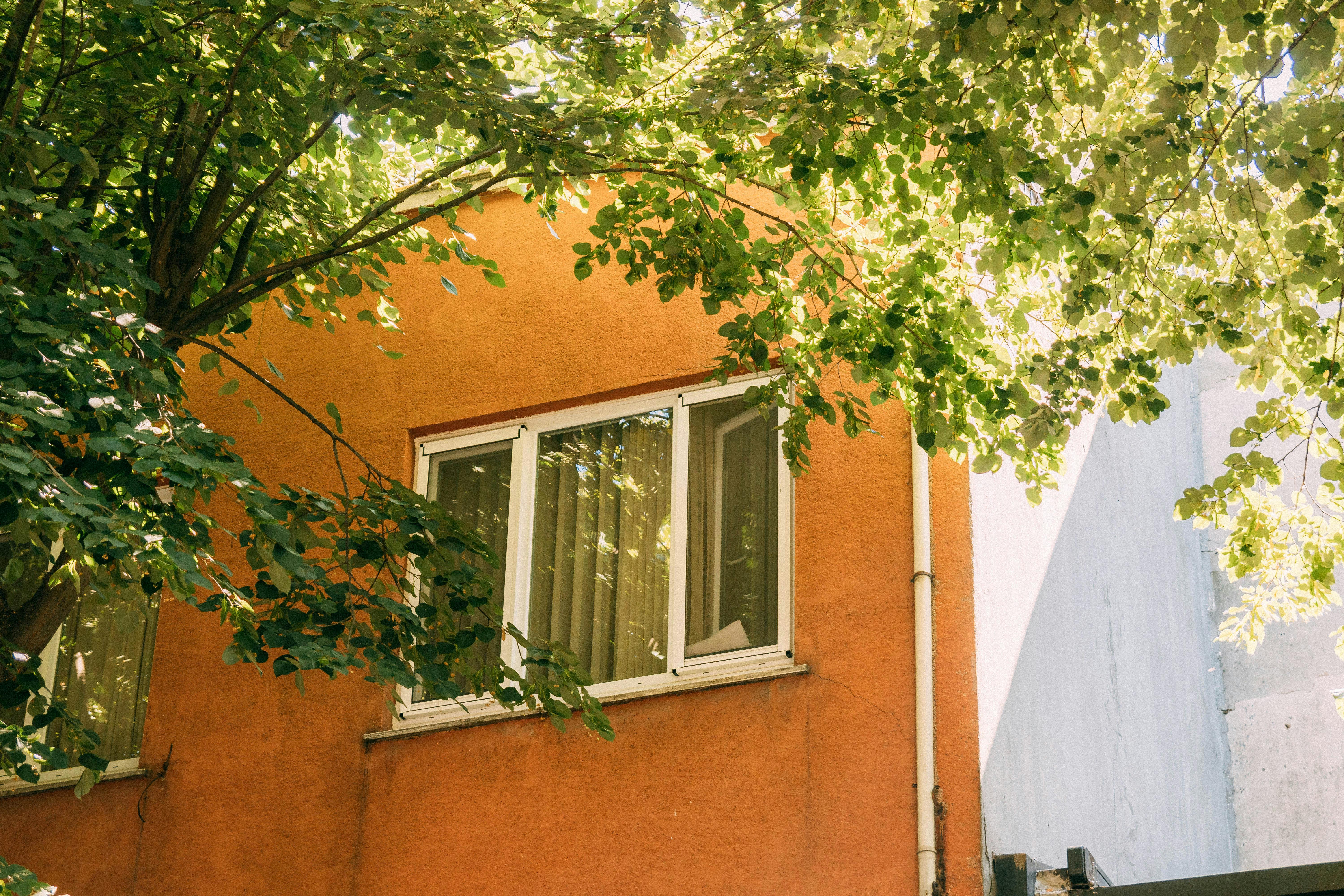 Sunlit orange wall and windows of an apartment building with tree shadows enhancing the scene.