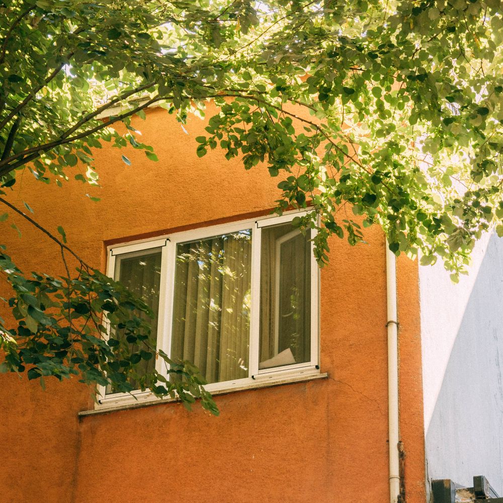 House Painting in East Wickham — quality trade paint going on in two coats