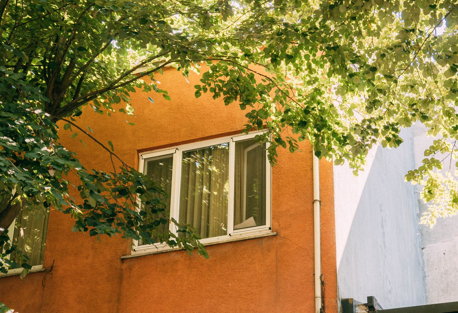 Exterior Painting in Motspur Park — woodwork brushed to a crisp, smooth line