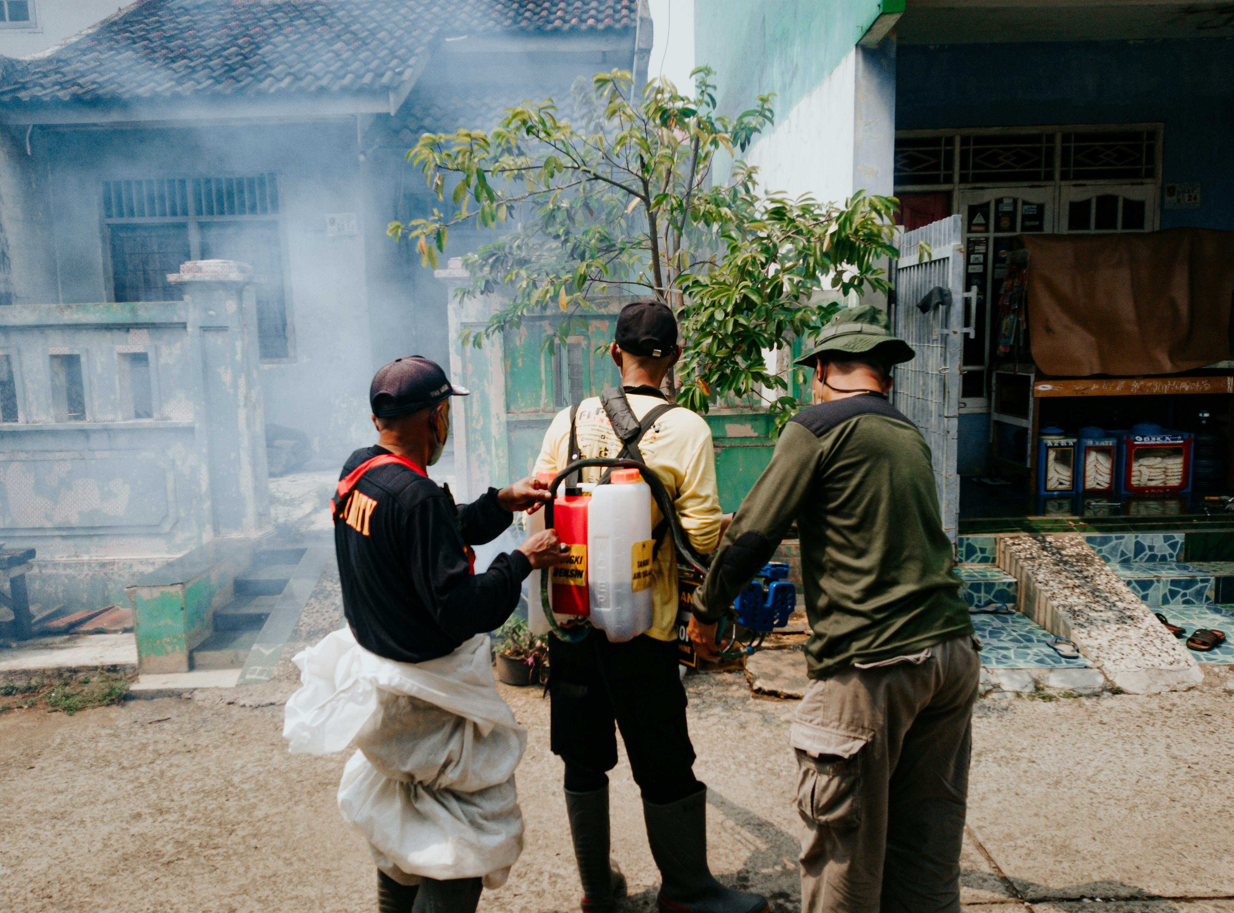 The Importance of Regular Pest Inspections