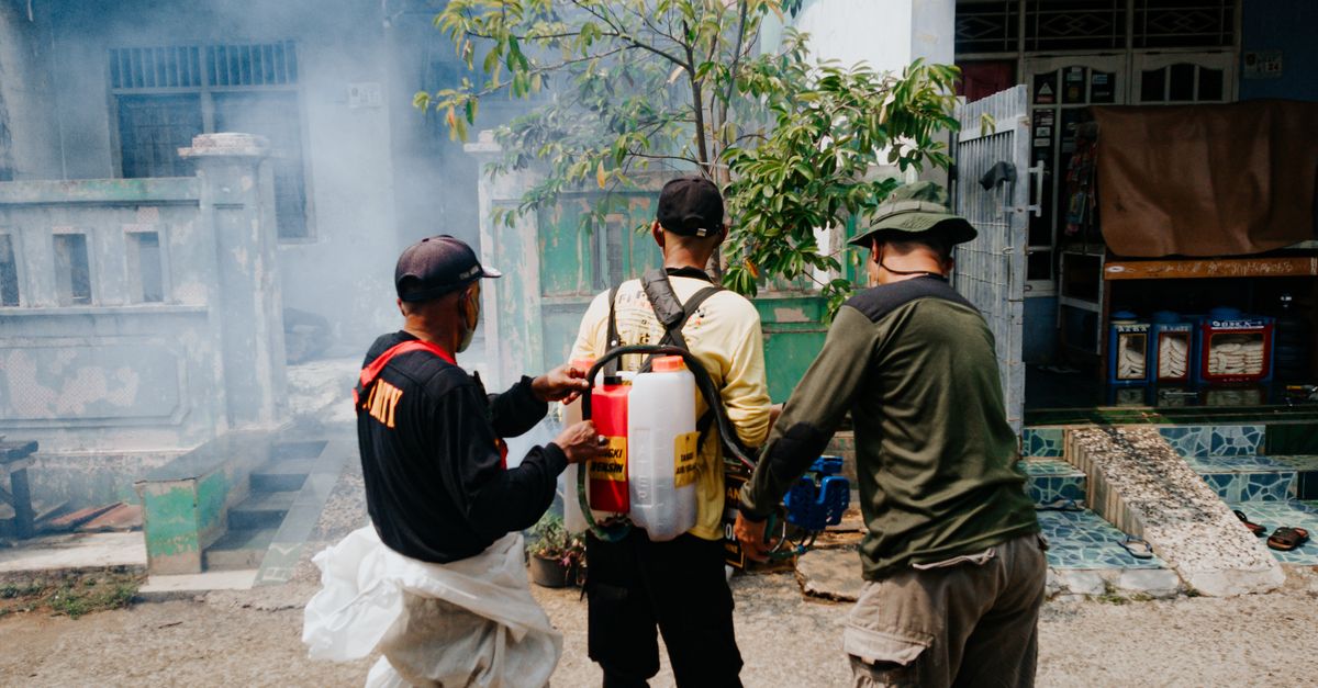 Tackling Dengue in India: Effective Prevention and Control Strategies
