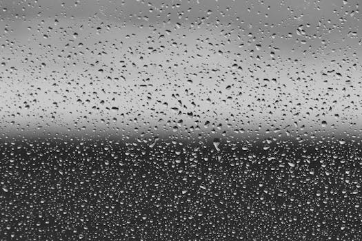Black and white close-up of raindrops on a window, capturing the beauty of rain and reflection.