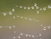 露珠在蜘蛛网上聚焦的宏镜头，凸显出纯洁与宁静