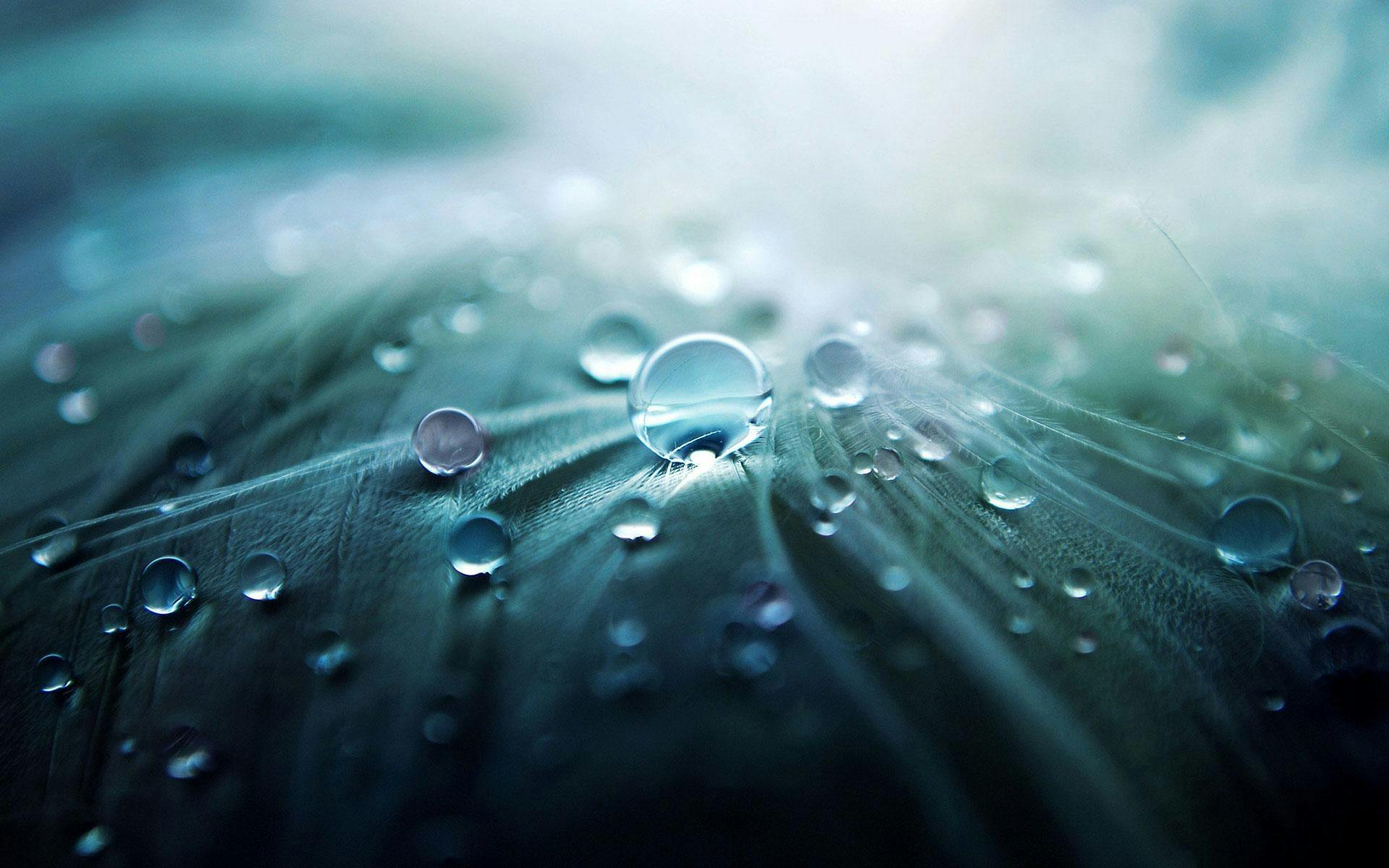 high resolution water drops background