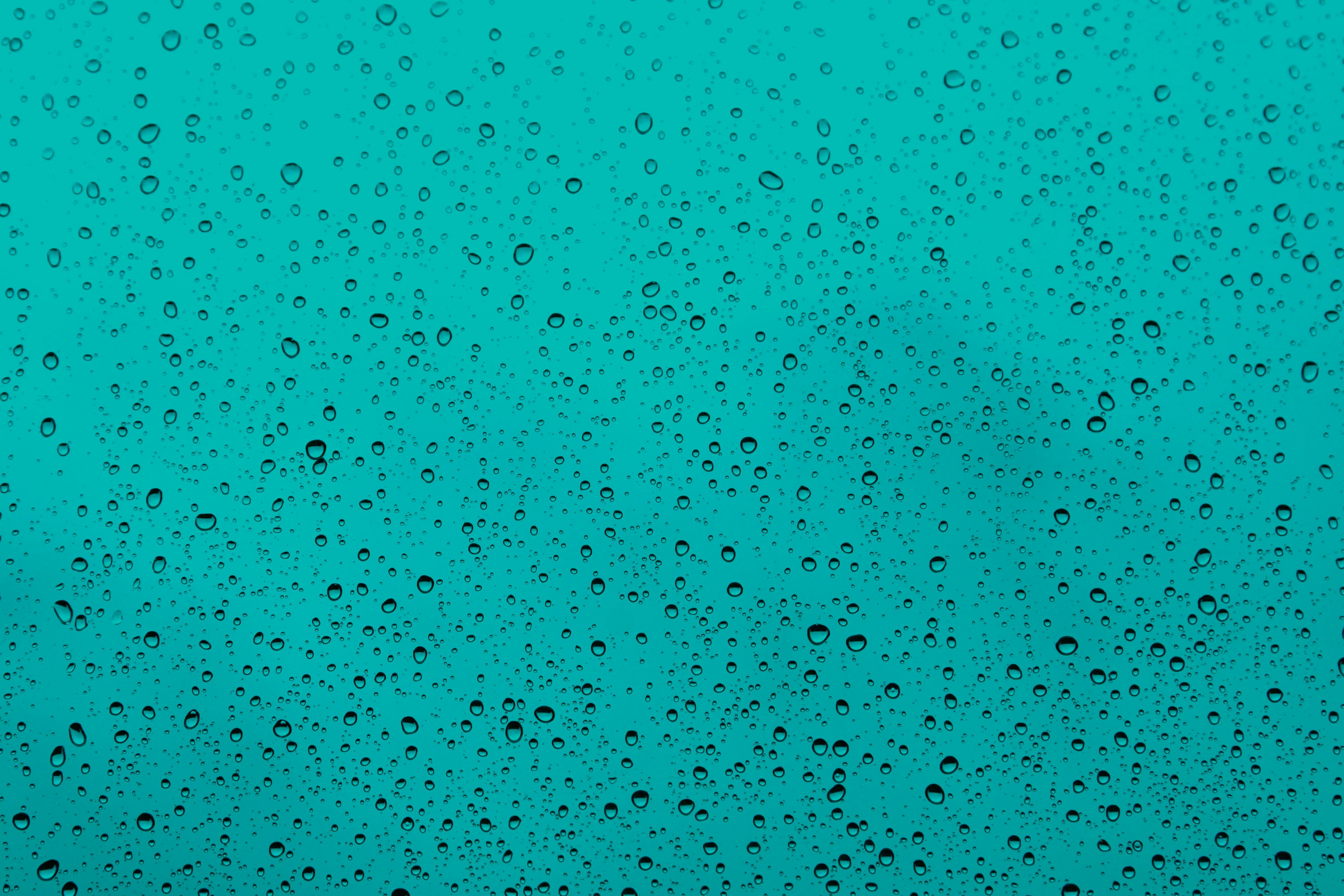 Teal Photos, Download The BEST Free Teal Stock Photos & HD Images