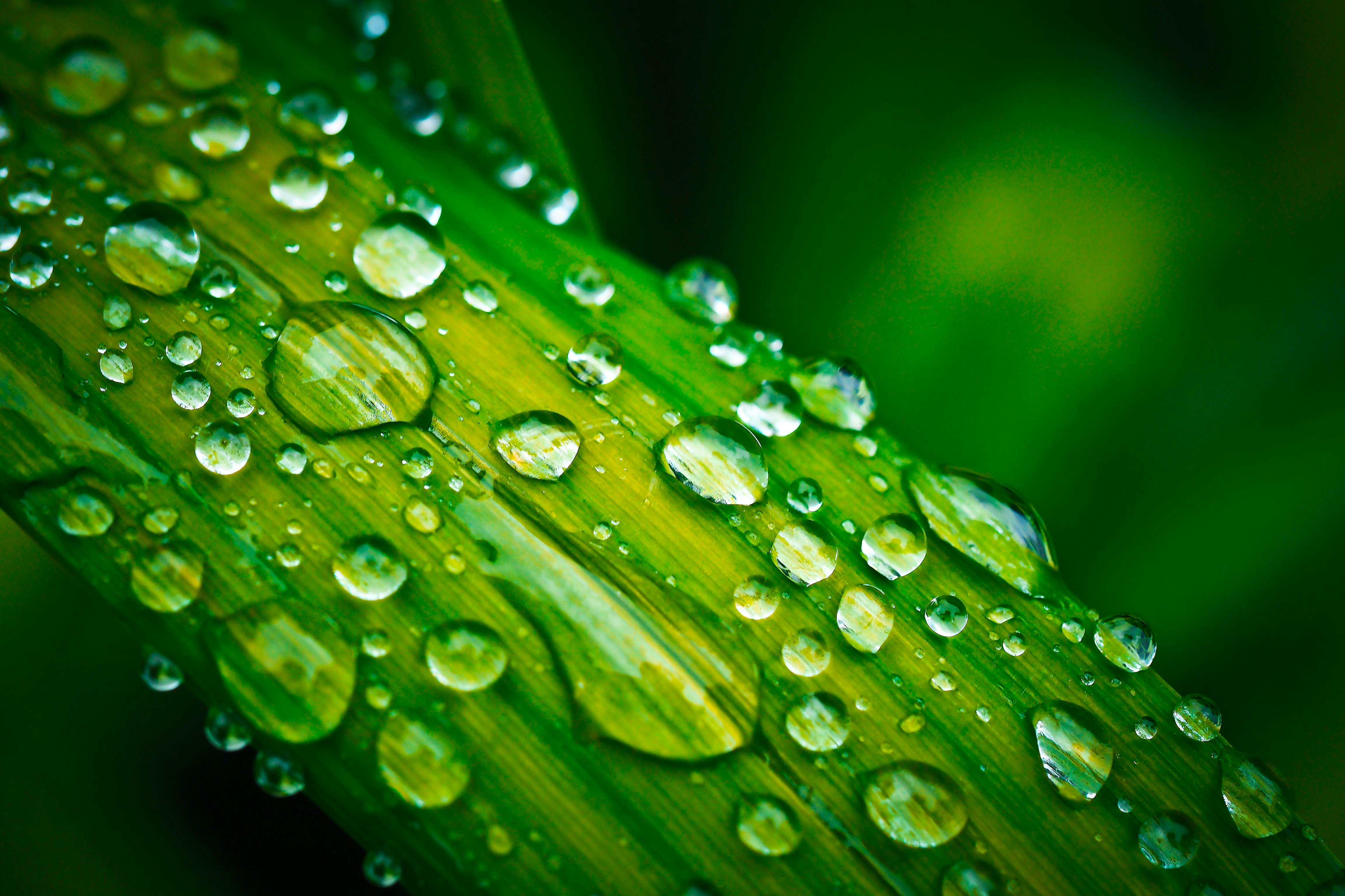 Water Drops Wave - Free photo on Pixabay - Pixabay