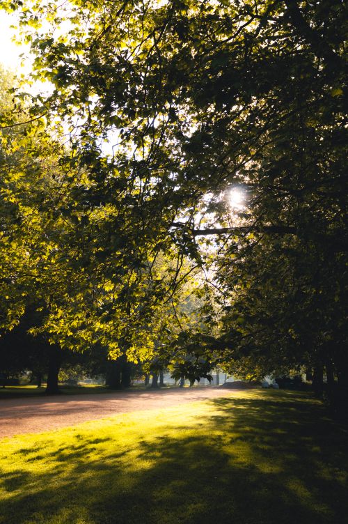 Free Sunlight filtering through trees along a tranquil path in Oxford, England, showcasing natural beauty. Stock Photo