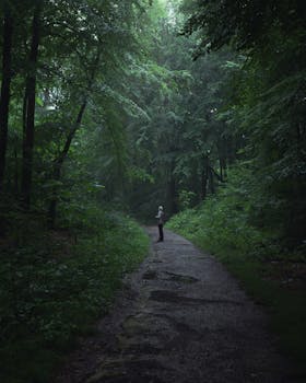 Explore the tranquility of a lone hiker on a misty forest path surrounded by lush green trees.
