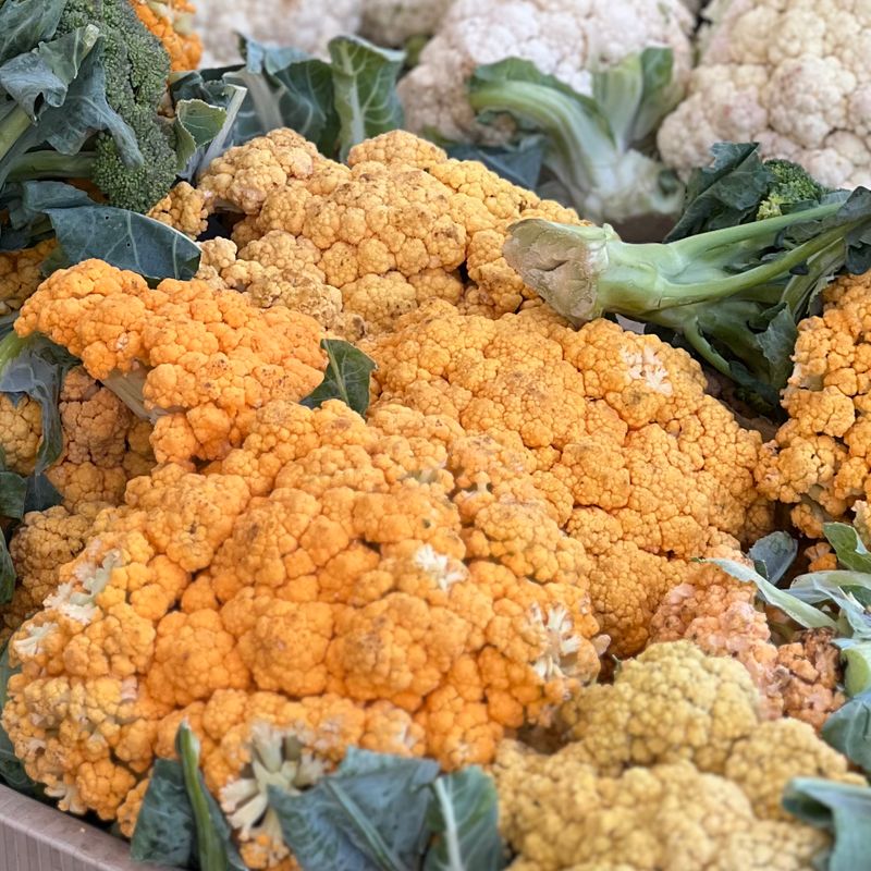 Egyptian Cauliflower Slaw with Cilantro and Cumin Seeds