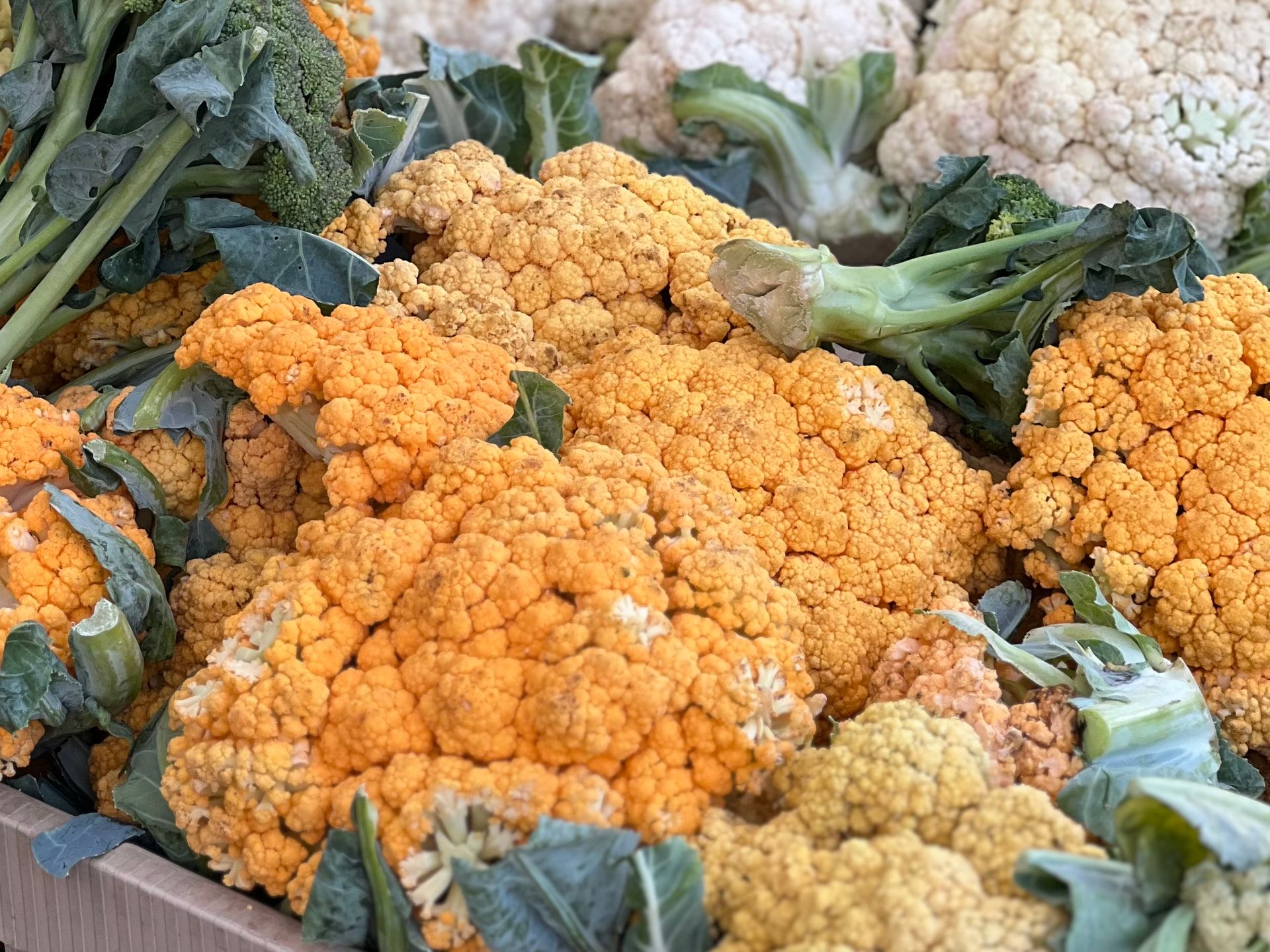 Fresh vibrant orange cauliflowers displayed at a market stall. Perfect for healthy eating.