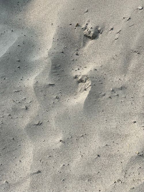 Free Detailed view of fine sand texture on sunlit beach. Stock Photo